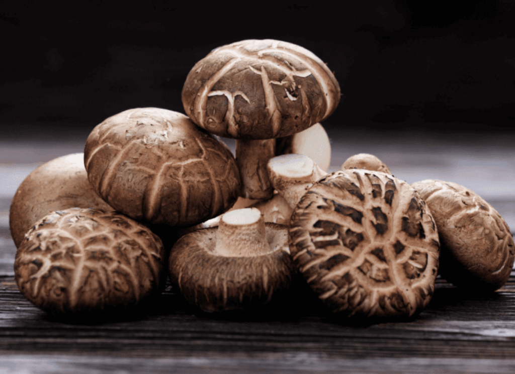 Shiitake Mushroom ingrediet for Menovelle