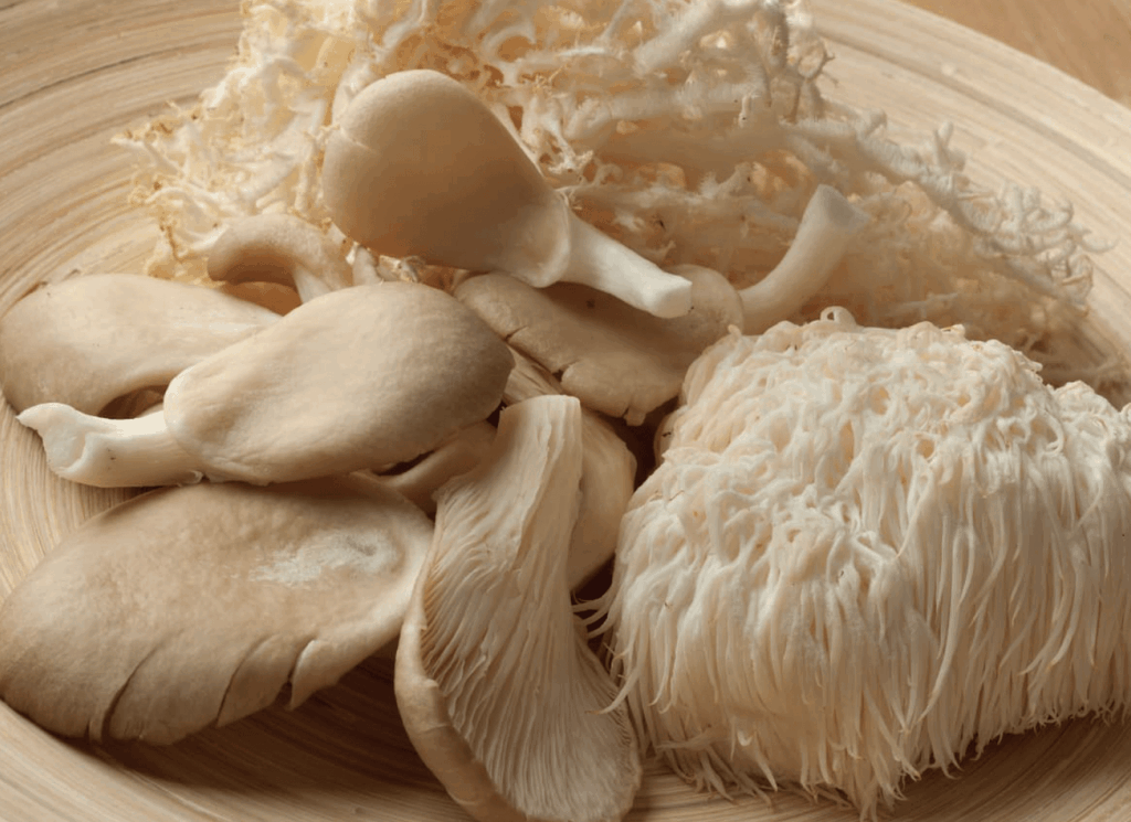 Lions Mane ingredient to Menovelle
