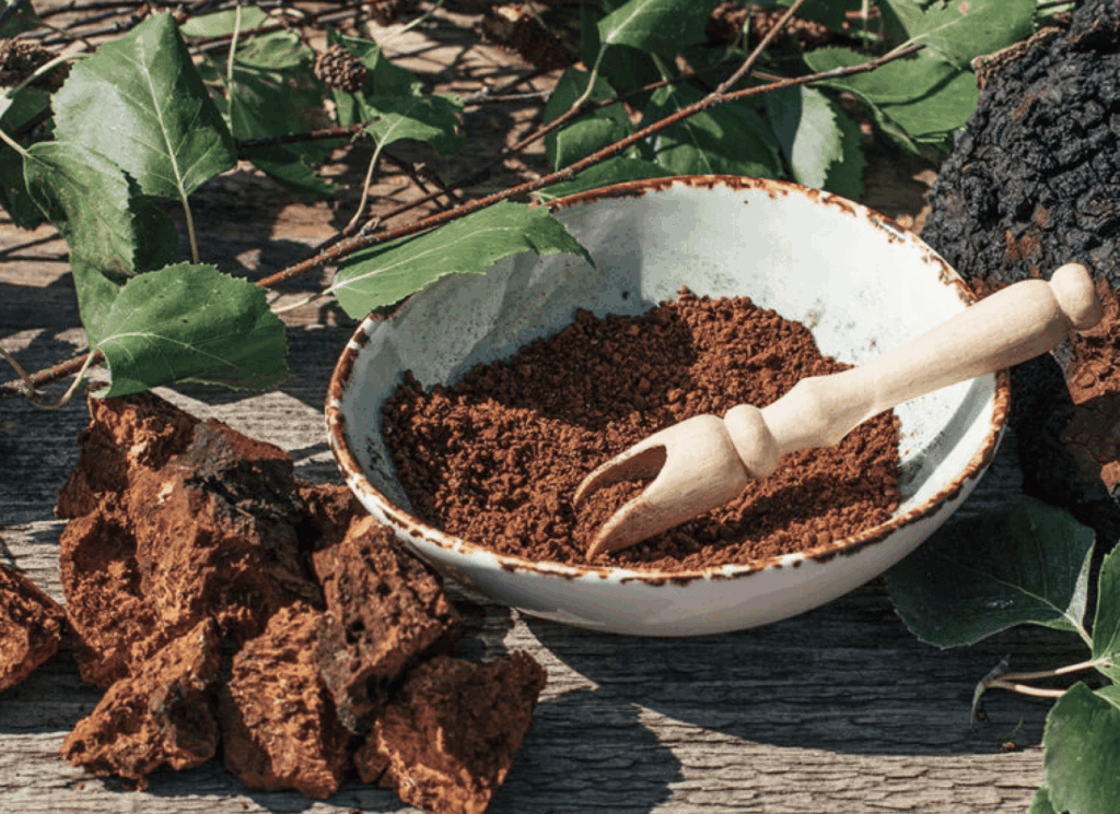 Chaga Mushroom ingredient from Menovelle